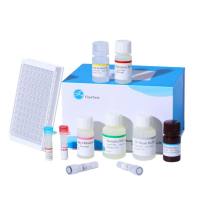 Rat β&nbsp;Arrestin-1 ELISA Kit|大鼠β抑制蛋白1(ARRB1)ELISA试剂盒