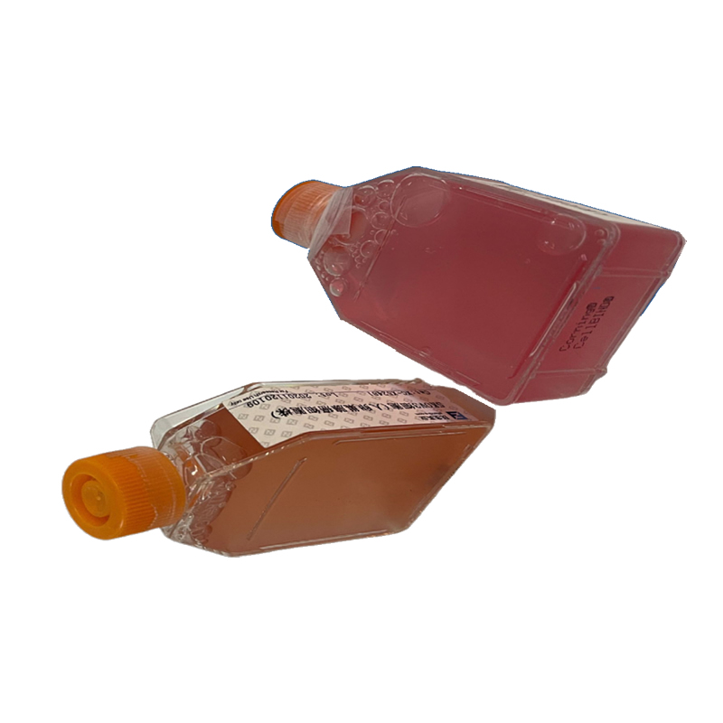 细胞污染判断指南：看这几点，早发现早处理