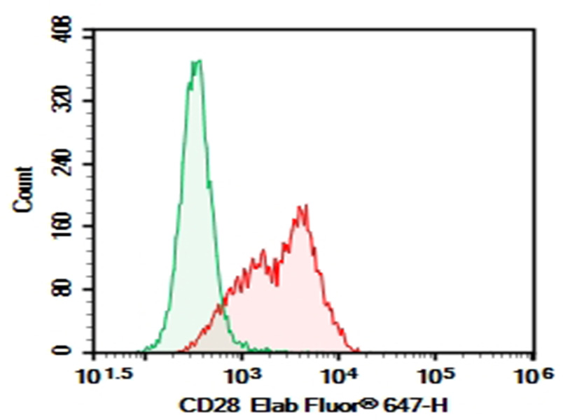 功能验证，数据可靠 | Elabscience纯化抗小鼠CD28抗体[37.51]赋能免疫前沿研究