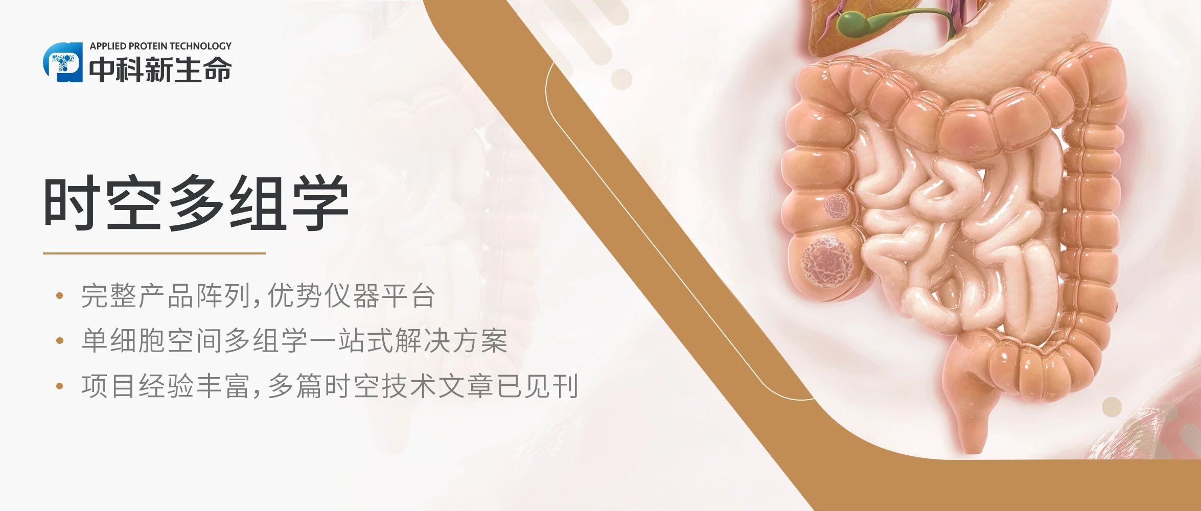 Cancer cell | 张泽民院士领衔！揭秘直肠癌新辅助治疗如何特异性重塑T细胞和内皮细胞