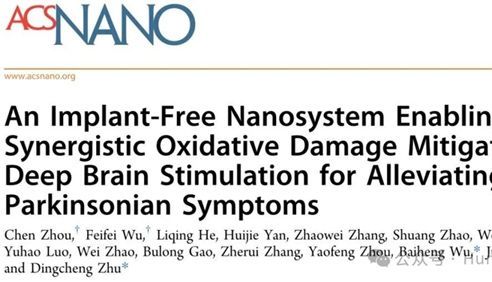 IF＝15.4丨ACS Nano: 斑马鱼揭示无植入纳米颗粒通过协同减轻氧化损伤与深脑刺激，缓解帕金森症状