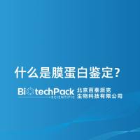 什么是膜蛋白鉴定？