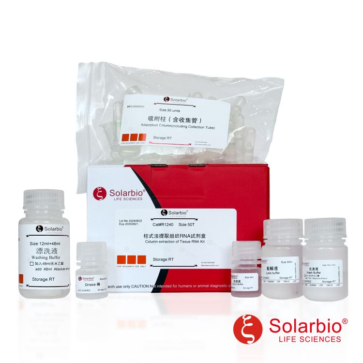 柱式法提取组织RNA试剂盒