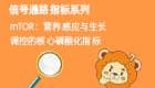 02｜信号通路指标系列： mTOR：营养感应与生长调控的核心磷酸化指标