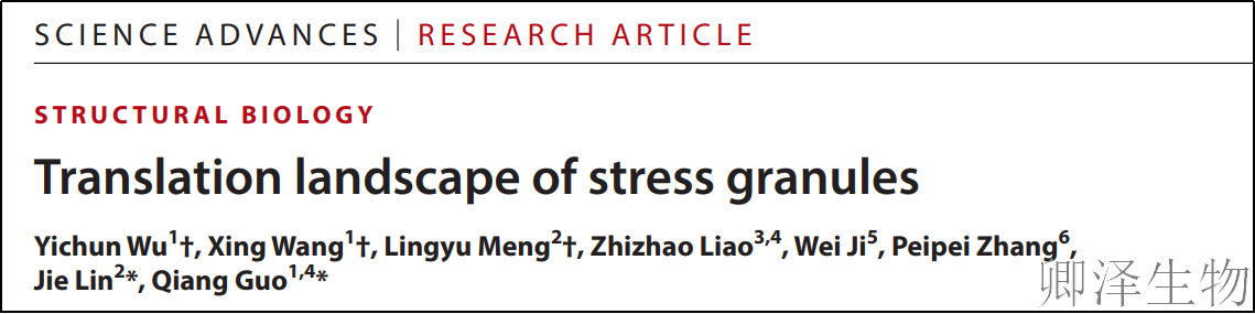 【应激颗粒翻译图谱】 | ：细胞压力下的“智能仓库”