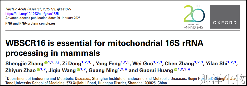 【线粒体“调度员”】 | ：调控脂肪燃烧的关键蛋白
