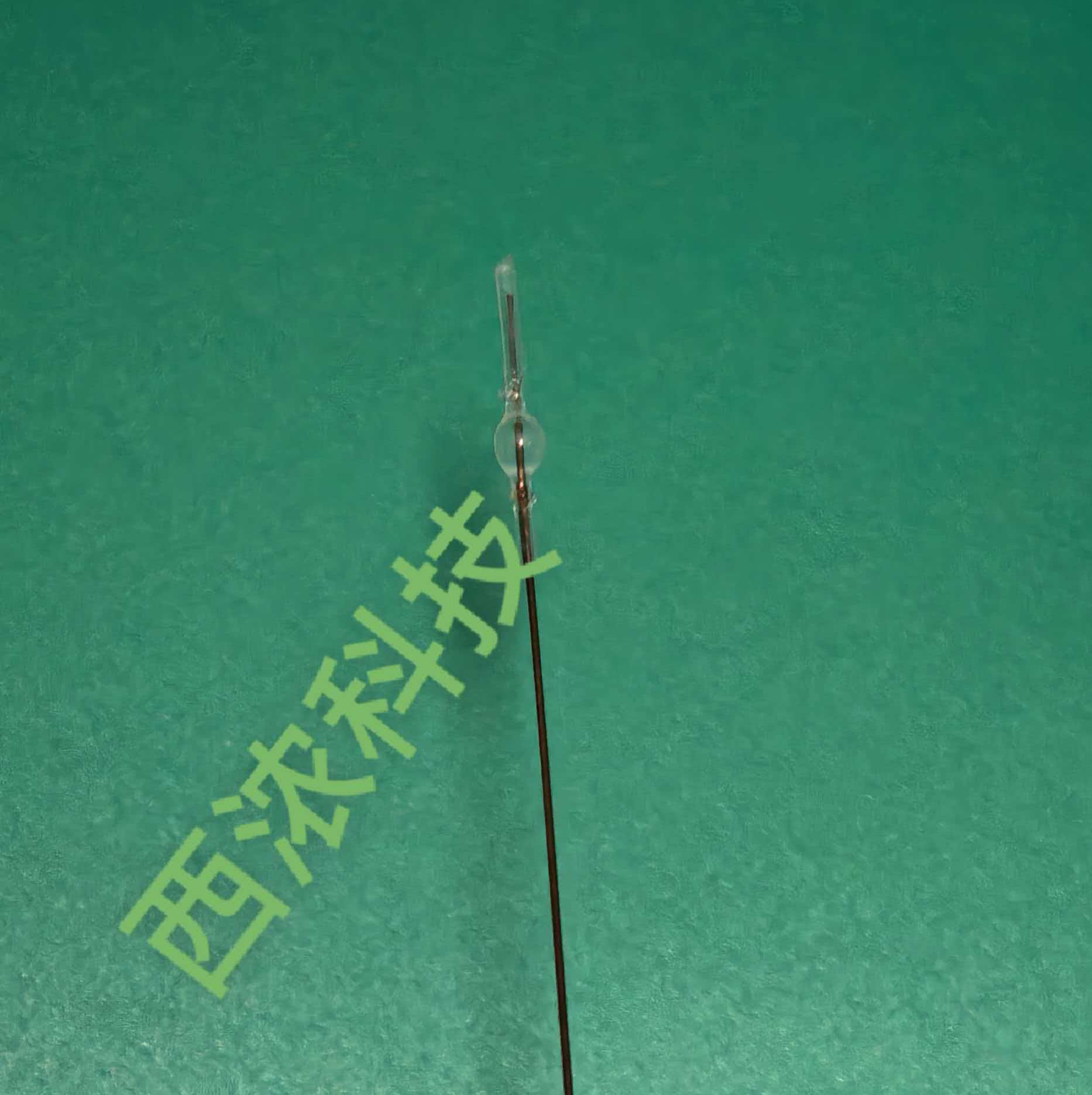 血管球囊/球囊导管