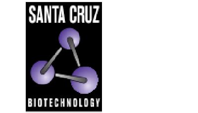 Santa Cruz代理——柏莱源（天津）生物科技有限公司