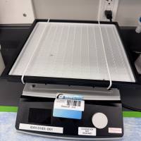 赛默飞世尔Thermo 紧凑型数字摇床