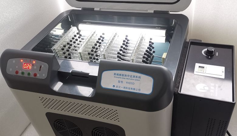 果蝇睡眠剥夺监测系统