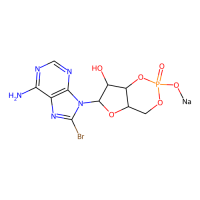 8-Bromo-cAMP，76939-46-3，10mM in DMSO，阿拉丁