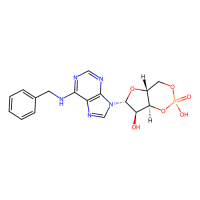 N⁶ benzyl-cAMP,32115-08-5,Moligand™,阿拉丁