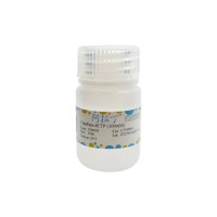 UltraPure dCTP (100mM)；UltraBio™, BioReagent, 适用于分子生物学, PCR试剂, 无DNA酶和RNA酶, 无菌, 内毒素检测, for DNA and RNA applications, ≥99%, 100mM；102783-51-7；阿拉丁
