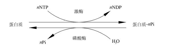 产品细节图片13