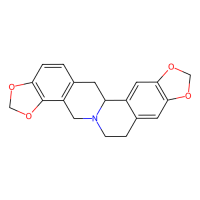 四氢黄莲碱，4312-32-7，2mM in DMSO，阿拉丁