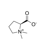 水苏碱，471-87-4，≥98%，阿拉丁