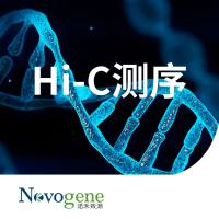 Hi-C测序