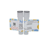 盐酸布替萘芬,101827-46-7,10mM in DMSO,阿拉丁