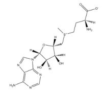 S-腺苷蛋氨酸,29908-03-0,Moligand™, ≥98%,阿拉丁