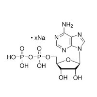 腺苷-5′-二磷酸 钠盐,20398-34-9,≥95%(HPLC),阿拉丁