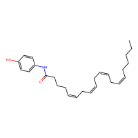 AM404；Moligand™, ≥98%；183718-77-6；阿拉丁