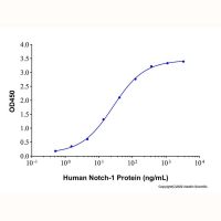 Recombinant Human Notch-1 Protein,ActiBioPure™, Bioactive, Carrier Free, ≥80%(SDS-PAGE),阿拉丁