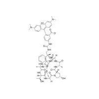 Phalloidin-TRITC,细胞骨架染料,915013-10-4,≥97%,阿拉丁
