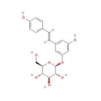 虎杖苷，65914-17-2，≥98%，阿拉丁