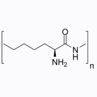 聚赖氨酸，28211-04-3，≥95%，阿拉丁