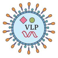 Epi™ CRISPR/Cas9 VLP 基因编辑类病毒颗粒：高效、安全、广谱的纳米颗粒递送解决方案
