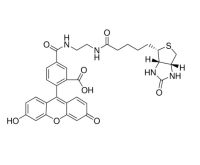 生物素（5-荧光素）缀合物，957494-27-8，≥90%，阿拉丁