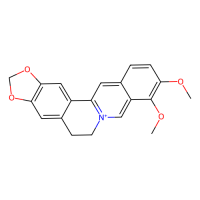 小檗碱，2086-83-1，Moligand™, 10mM in DMSO，阿拉丁