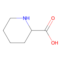 L-高脯氨酸；10mM in Water；3105-95-1；阿拉丁