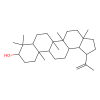 羽扇豆醇，545-47-1，≥95%，阿拉丁