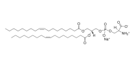 1,2-二油酰基-sn-甘油-3-磷酸-L-丝氨酸(钠盐)（DOPS），90693-88-2，Moligand™, ≥99%，阿拉丁