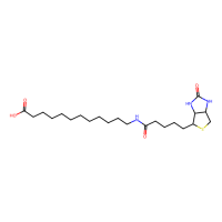 N-生物素十二烷基酸，135447-73-3，≥98%，阿拉丁