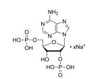 腺苷2',5'-二磷酸钠盐,154146-84-6,≥90%,阿拉丁