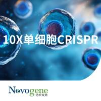 10X单细胞CRISPR