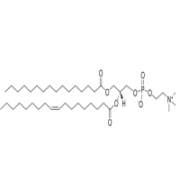 L-α-磷脂酰胆碱 (鸡蛋)，97281-44-2，≥95%，阿拉丁