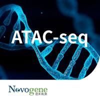ATAC-seq(mini ATAC-seq)