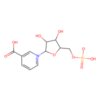 烟酸单核苷酸，321-02-8，≥95%，阿拉丁