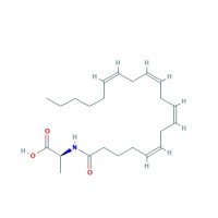 N-花生四烯酰基-(L)-丙氨酸(NA-Ala),401941-73-9,≥98%,阿拉丁