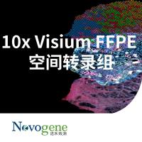 10x Visium FFPE 空间转录组测序