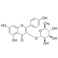 阿福豆苷，482-39-3，≥98%，阿拉丁