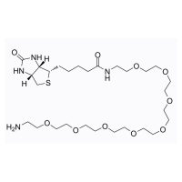 生物素-PEG8-胺,2183447-27-8,阿拉丁