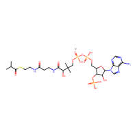 异丁酰基辅酶A锂盐,103404-95-1,≥85%,阿拉丁