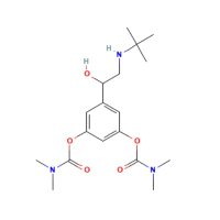 Bambuterol,81732-65-2,阿拉丁