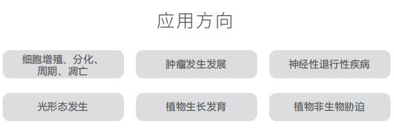 产品细节图片16