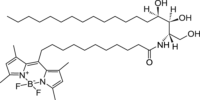 N-[11-(二氟亚甲基二硼化硼)十一烷酰基]-植物鞘氨醇，1246355-60-1，≥99%，阿拉丁