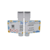 阿维巴坦钠，1192491-61-4，10mM in DMSO，阿拉丁